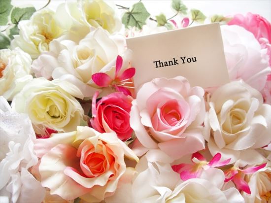花言葉で感謝と尊敬と今までありがとうの気持ちを先生に贈る花は