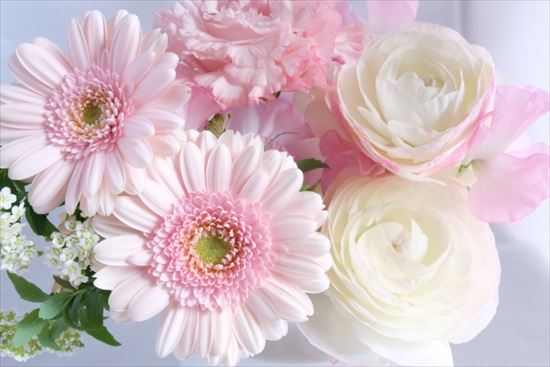 花言葉で感謝と尊敬と今までありがとうの気持ちを先生に贈る花は