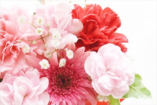 50 素晴らしい花 言葉 感謝 花束 すべての美しい花の画像