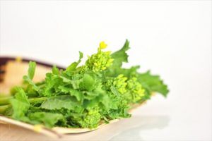 ざるの上で菜の花の花が咲いた菜の花の様子